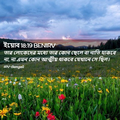 Picture 02 - ইয়োব 18:19 BENIRV - তার লোকেদের মধ্যে - Bible Verse Picture