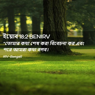 Picture 02 - ইয়োব 18:2 BENIRV - “তোমার কথা শেষ কর! - Bible Verse Picture