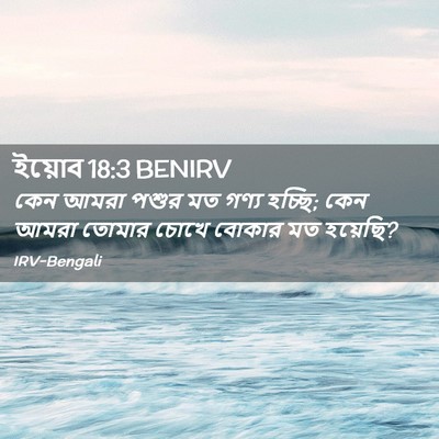Picture 02 - ইয়োব 18:3 BENIRV - কেন আমরা পশুর মত - Bible Verse Picture