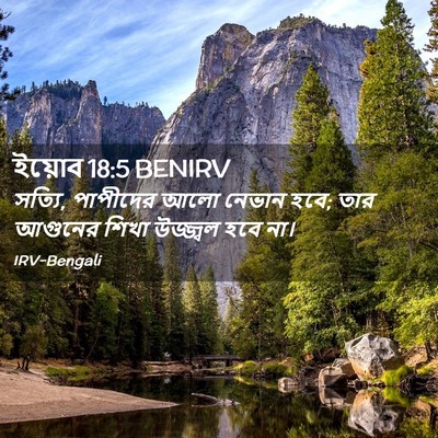 Picture 02 - ইয়োব 18:5 BENIRV - সত্যি, পাপীদের আলো - Bible Verse Picture
