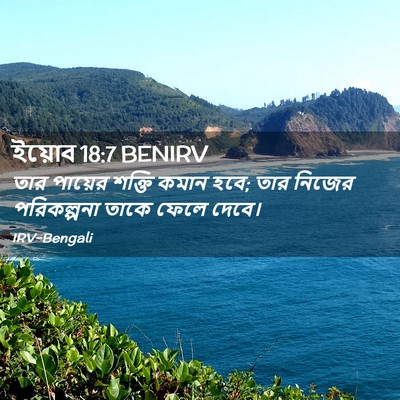 Picture 02 - ইয়োব 18:7 BENIRV - তার পায়ের শক্তি - Bible Verse Picture