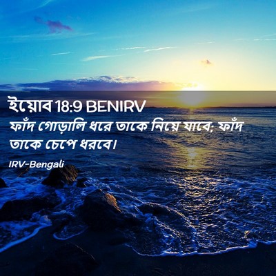 Picture 02 - ইয়োব 18:9 BENIRV - ফাঁদ গোড়ালি ধরে - Bible Verse Picture