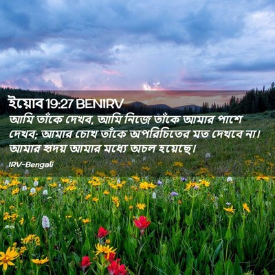 Picture 02 - ইয়োব 19:27 BENIRV - আমি তাঁকে দেখব, আমি - Bible Verse Picture