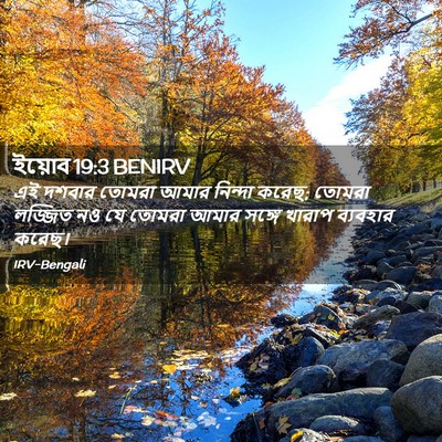 Picture 02 - ইয়োব 19:3 BENIRV - এই দশবার তোমরা - Bible Verse Picture