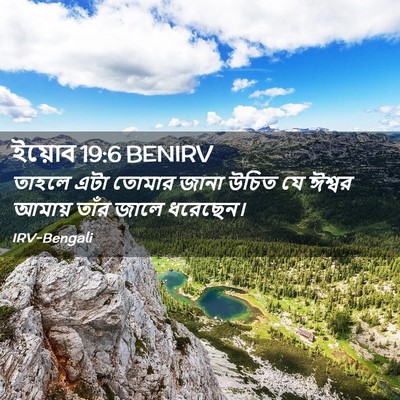 Picture 02 - ইয়োব 19:6 BENIRV - তাহলে এটা তোমার - Bible Verse Picture