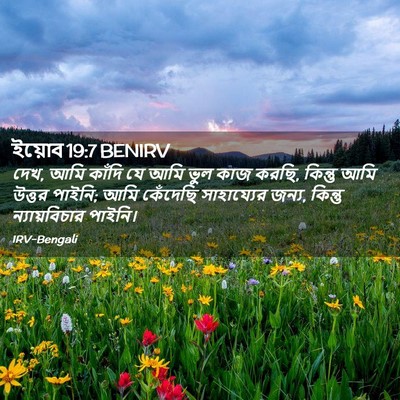 Picture 02 - ইয়োব 19:7 BENIRV - দেখ, আমি কাঁদি যে - Bible Verse Picture