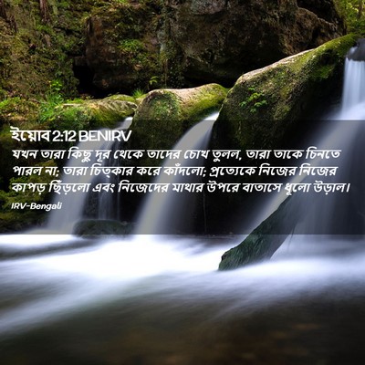 Picture 02 - ইয়োব 2:12 BENIRV - যখন তারা কিছু দূর - Bible Verse Picture