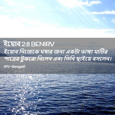 Picture 02 - ইয়োব 2:8 BENIRV - ইয়োব নিজেকে ঘষার - Bible Verse Picture