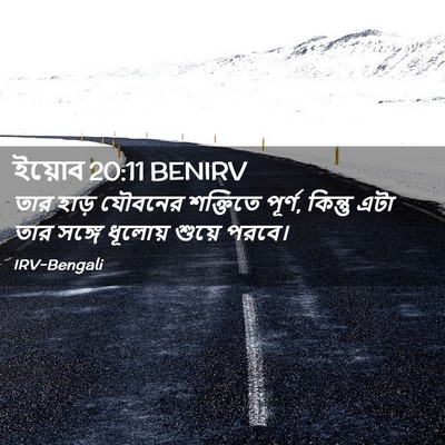 Picture 02 - ইয়োব 20:11 BENIRV - তার হাড় যৌবনের - Bible Verse Picture