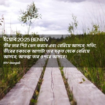 Picture 02 - ইয়োব 20:25 BENIRV - তীর তার পিঠ ভেদ - Bible Verse Picture