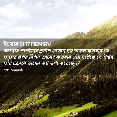 Picture 02 - ইয়োব 21:17 BENIRV - কতবার পাপীদের - Bible Verse Picture