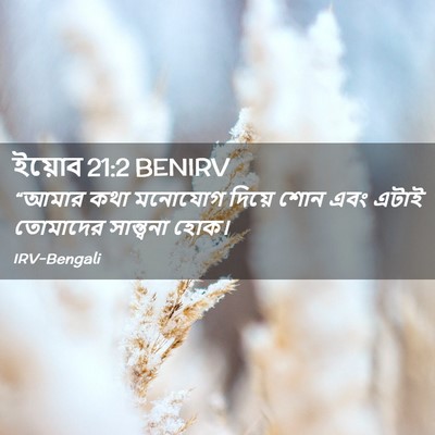Picture 02 - ইয়োব 21:2 BENIRV - “আমার কথা মনোযোগ - Bible Verse Picture