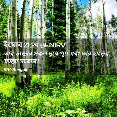 Picture 02 - ইয়োব 21:24 BENIRV - তার ভান্ডার সকল - Bible Verse Picture