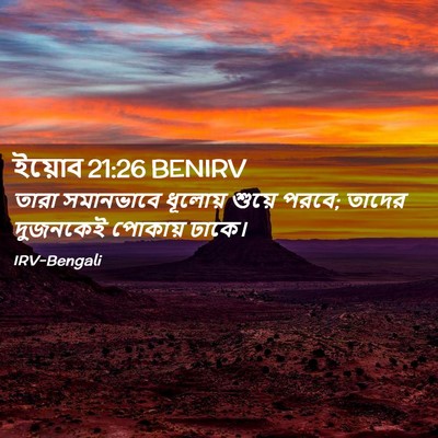 Picture 02 - ইয়োব 21:26 BENIRV - তারা সমানভাবে - Bible Verse Picture