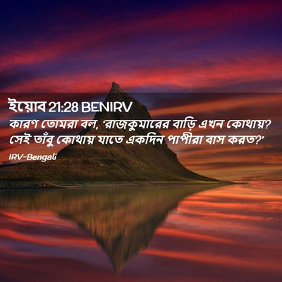 Picture 02 - ইয়োব 21:28 BENIRV - কারণ তোমরা বল, - Bible Verse Picture