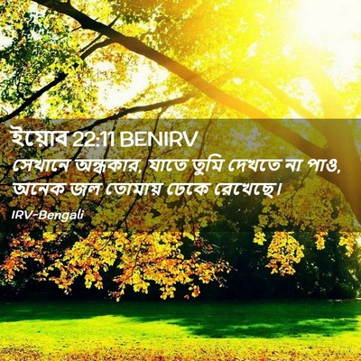 Picture 02 - ইয়োব 22:11 BENIRV - সেখানে অন্ধকার, - Bible Verse Picture