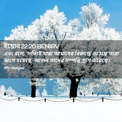 Picture 02 - ইয়োব 22:20 BENIRV - এবং বলে, ‘সত্যিই - Bible Verse Picture