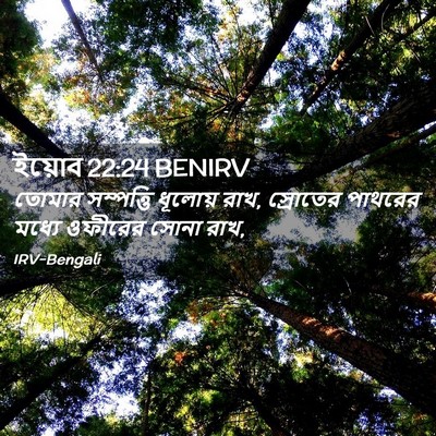 Picture 02 - ইয়োব 22:24 BENIRV - তোমার সম্পত্তি - Bible Verse Picture