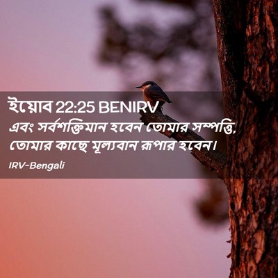 Picture 02 - ইয়োব 22:25 BENIRV - এবং সর্বশক্তিমান - Bible Verse Picture