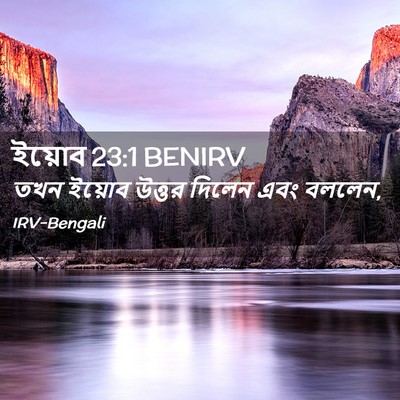 Picture 02 - ইয়োব 23:1 BENIRV - তখন ইয়োব উত্তর - Bible Verse Picture