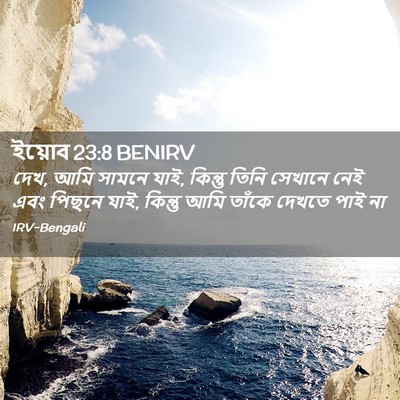 Picture 02 - ইয়োব 23:8 BENIRV - দেখ, আমি সামনে যাই, - Bible Verse Picture