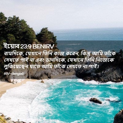 Picture 02 - ইয়োব 23:9 BENIRV - বামদিকে, যেখানে - Bible Verse Picture