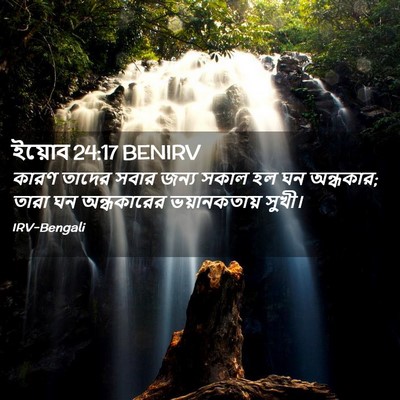 Picture 02 - ইয়োব 24:17 BENIRV - কারণ তাদের সবার - Bible Verse Picture