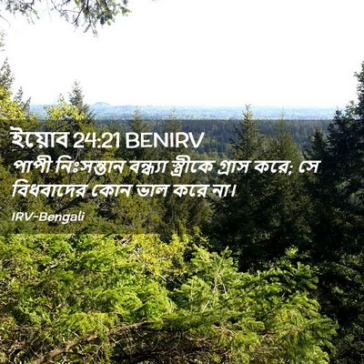 Picture 02 - ইয়োব 24:21 BENIRV - পাপী নিঃসন্তান - Bible Verse Picture