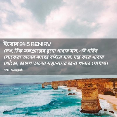 Picture 02 - ইয়োব 24:5 BENIRV - দেখ, ঠিক - Bible Verse Picture