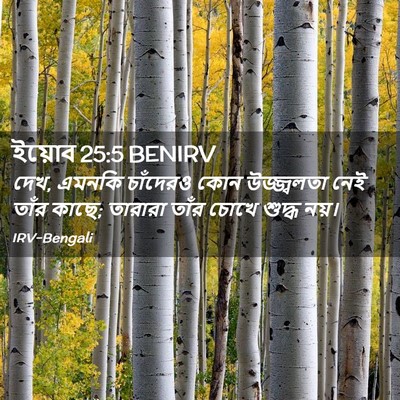 Picture 02 - ইয়োব 25:5 BENIRV - দেখ, এমনকি চাঁদেরও - Bible Verse Picture