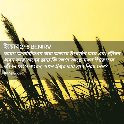 Picture 02 - ইয়োব 27:8 BENIRV - কারণ অধার্ম্মিকগণ - Bible Verse Picture