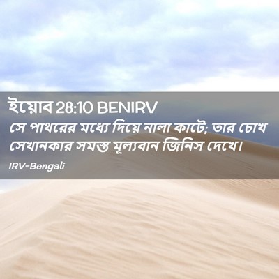 Picture 02 - ইয়োব 28:10 BENIRV - সে পাথরের মধ্যে - Bible Verse Picture