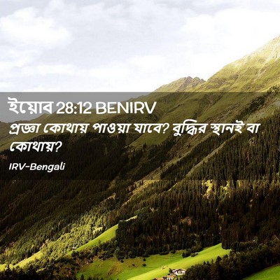 Picture 02 - ইয়োব 28:12 BENIRV - প্রজ্ঞা কোথায় - Bible Verse Picture