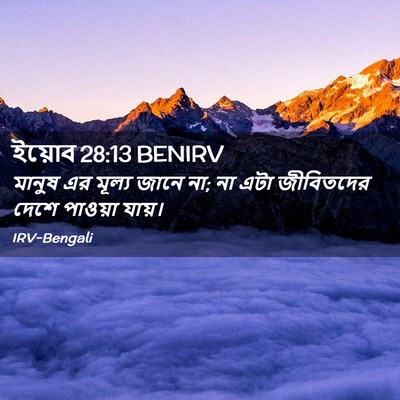 Picture 02 - ইয়োব 28:13 BENIRV - মানুষ এর মূল্য - Bible Verse Picture