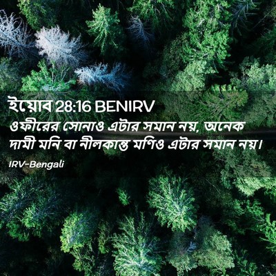 Picture 02 - ইয়োব 28:16 BENIRV - ওফীরের সোনাও এটার - Bible Verse Picture
