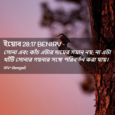Picture 02 - ইয়োব 28:17 BENIRV - সোনা এবং কাঁচ এটার - Bible Verse Picture