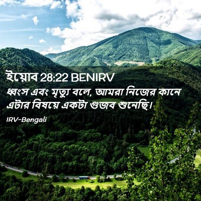 Picture 02 - ইয়োব 28:22 BENIRV - ধ্বংস এবং মৃত্যু - Bible Verse Picture