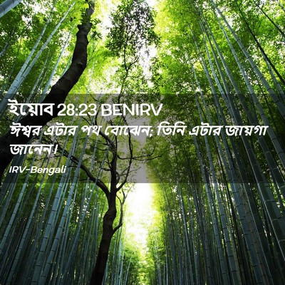 Picture 02 - ইয়োব 28:23 BENIRV - ঈশ্বর এটার পথ - Bible Verse Picture