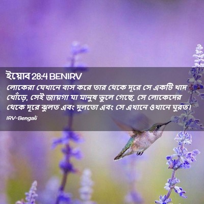 Picture 02 - ইয়োব 28:4 BENIRV - লোকেরা যেখানে বাস - Bible Verse Picture