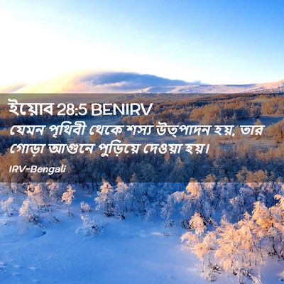 Picture 02 - ইয়োব 28:5 BENIRV - যেমন পৃথিবী থেকে - Bible Verse Picture