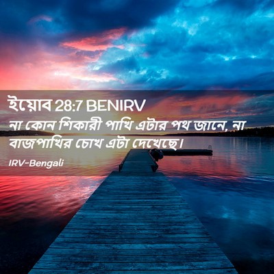 Picture 02 - ইয়োব 28:7 BENIRV - না কোন শিকারী পাখি - Bible Verse Picture