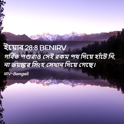 Picture 02 - ইয়োব 28:8 BENIRV - গর্বিত পশুরাও সেই - Bible Verse Picture