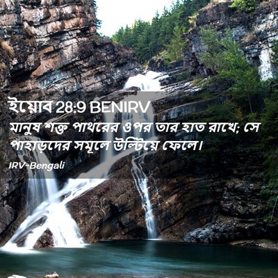 Picture 02 - ইয়োব 28:9 BENIRV - মানুষ শক্ত পাথরের - Bible Verse Picture