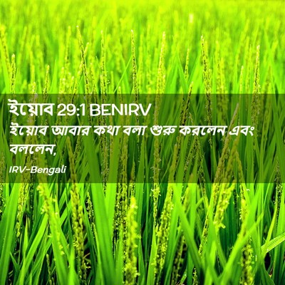 Picture 02 - ইয়োব 29:1 BENIRV - ইয়োব আবার কথা বলা - Bible Verse Picture