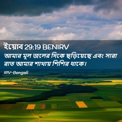 Picture 02 - ইয়োব 29:19 BENIRV - আমার মূল জলের দিকে - Bible Verse Picture
