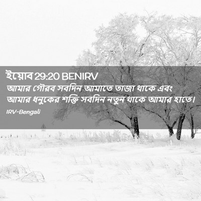 Picture 02 - ইয়োব 29:20 BENIRV - আমার গৌরব সবদিন - Bible Verse Picture
