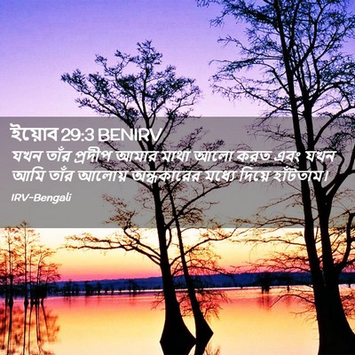 Picture 02 - ইয়োব 29:3 BENIRV - যখন তাঁর প্রদীপ - Bible Verse Picture