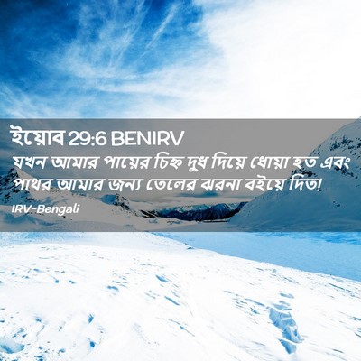 Picture 02 - ইয়োব 29:6 BENIRV - যখন আমার পায়ের - Bible Verse Picture