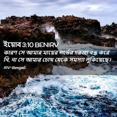 Picture 02 - ইয়োব 3:10 BENIRV - কারণ সে আমার - Bible Verse Picture