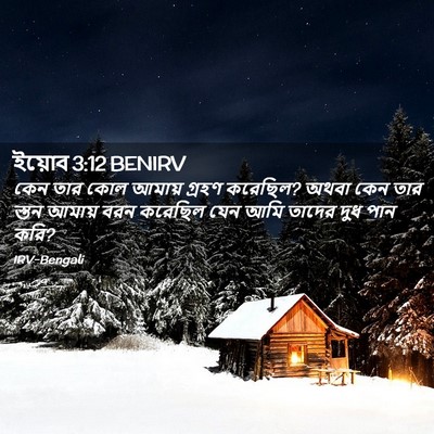 Picture 02 - ইয়োব 3:12 BENIRV - কেন তার কোল আমায় - Bible Verse Picture